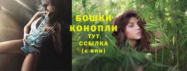 дживик Нефтекумск