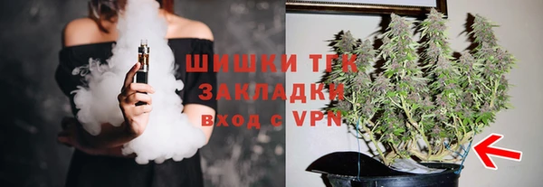 соль ск Нея