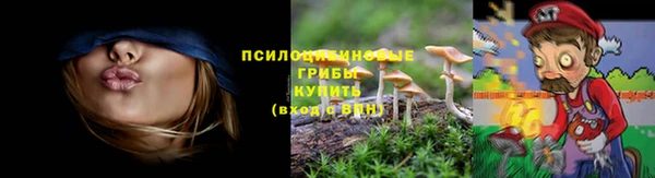 меф Новозыбков