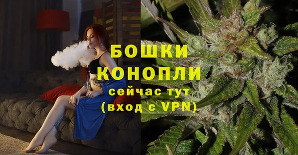 первитин Новодвинск