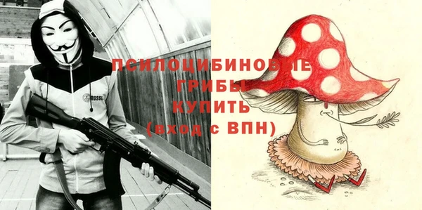 первитин Новодвинск